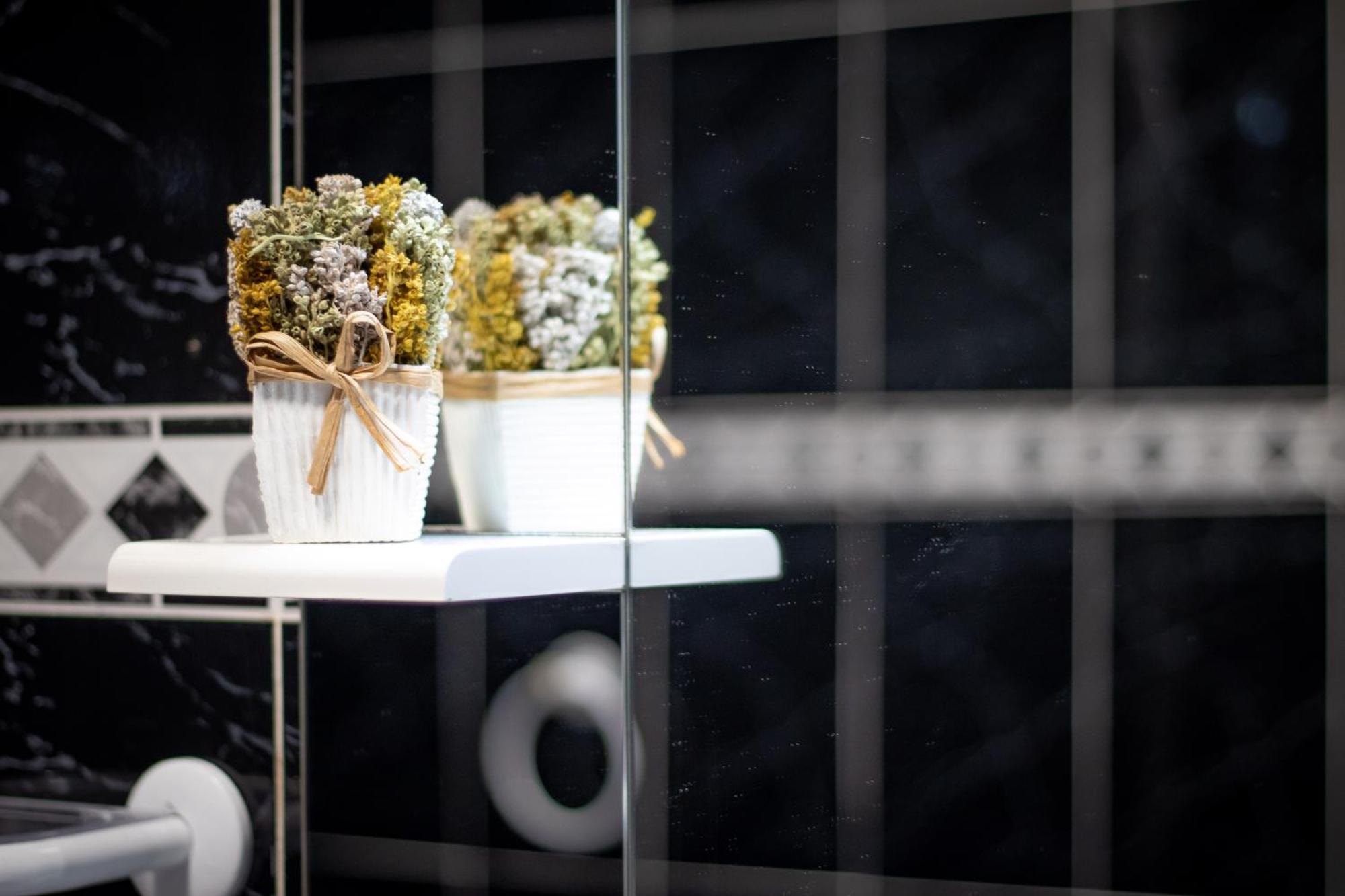 Wonder House Apartment Feteiras Ngoại thất bức ảnh